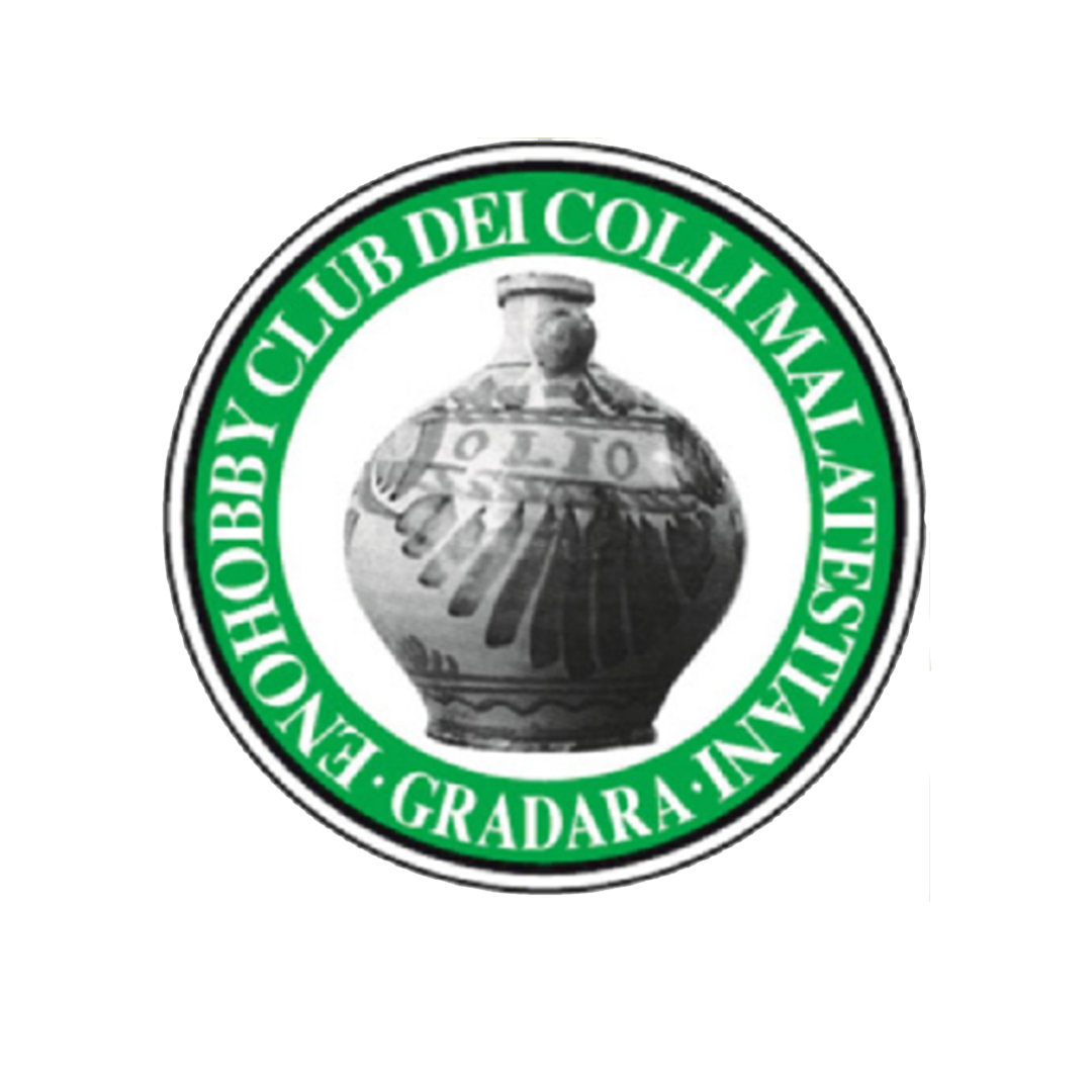 Premios al mejor aceite de Oliva | XY Aceite de Oliva